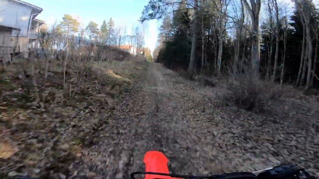 Honda CRF 110 Wheelies & Top Speed смотреть онлайн