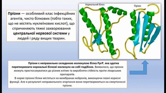 Урок біології, 10 кл., тема "Віроїди, пріони. Особливості їхньої організації та функціонування" смотреть онлайн