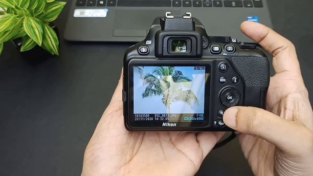 Nikon D3500 Camera Overview and tutorial смотреть онлайн