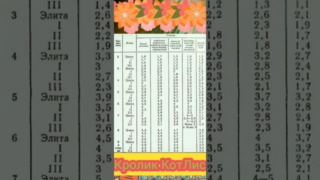 Вес кроликов по месяцам. Классификация кроликов по весу и возрасту. смотреть онлайн