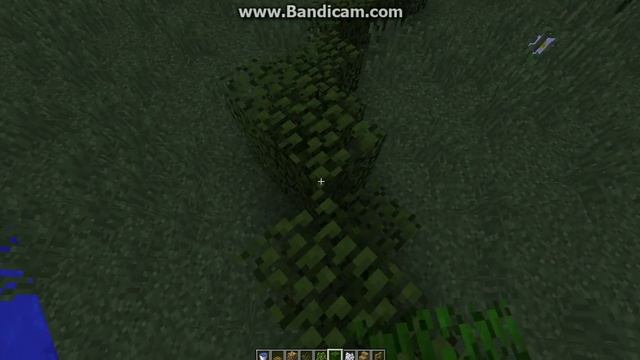 Как построить маленький парк в майнкрафт I