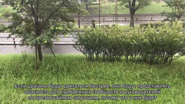 Исследование: тропические циклоны в последние десятилетия движутся быстрее смотреть онлайн