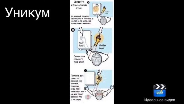 Новая рубрика-УНИКУМ смотреть онлайн