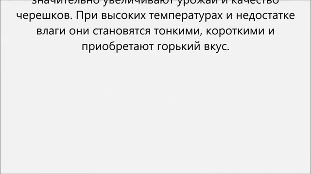 Ревень уход смотреть онлайн