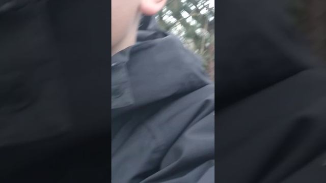 ищем кто поломал домик смотреть онлайн