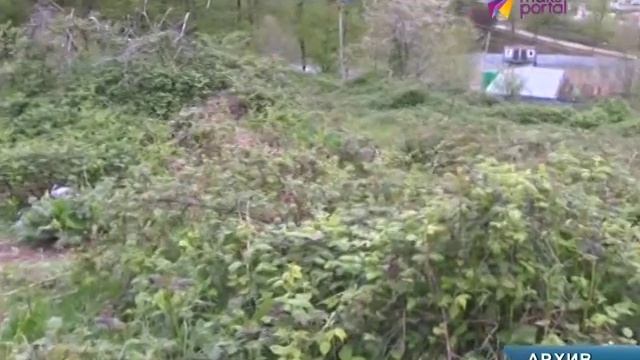 В Сочи более тысячи гектаров земли используется не по назначению смотреть онлайн