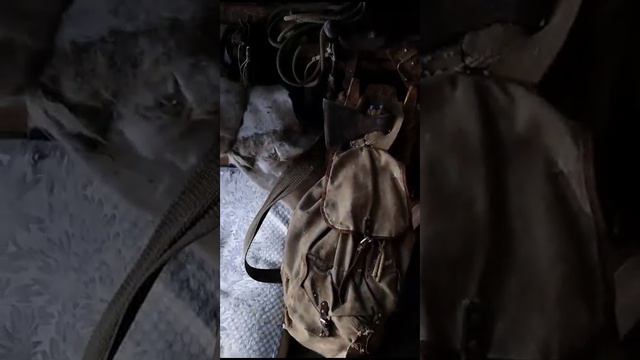 Архив"Опасная забывчивасть напарника в тайге". смотреть онлайн