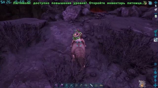 Собрали Артефакты Хитрости, Неуязвимости и Силы!!! ARK: Survival Evolved Lost Island # 12 смотреть онлайн