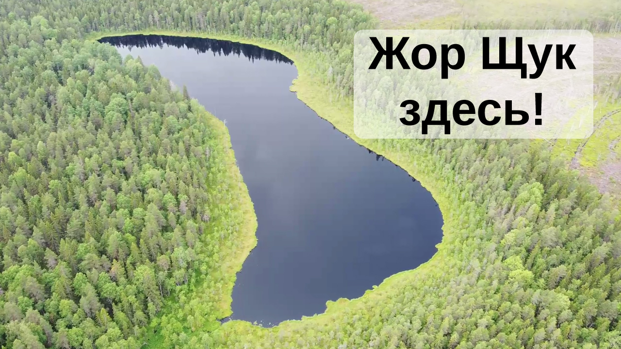15 бросков щук на этой ламбушке! Голодные щуки ждали на диком водоеме без окуней, попали на клев
