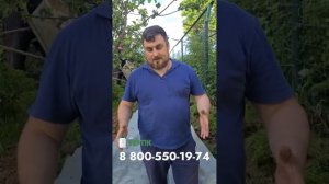 Как мы делаем поле фильтрации для септика