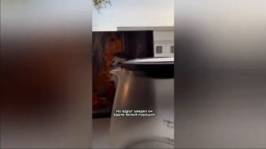 #чайник #порошок Песня чайника ???