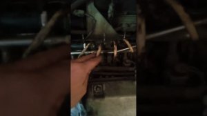 ошибка р2187 гранта