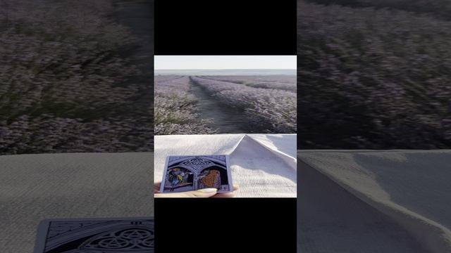 Подарок судьбы