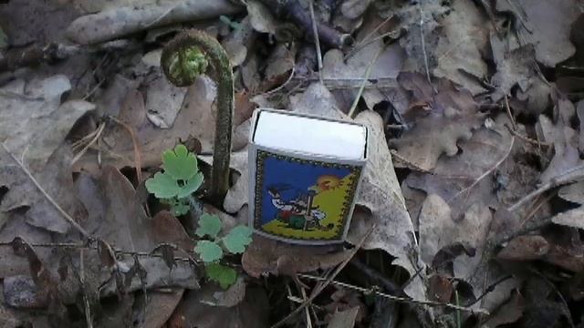 Собачка, папоротник и опять собачка смотреть онлайн