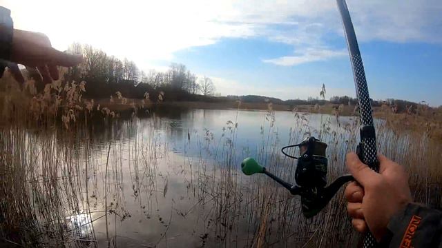ВОТ ЭТО БАТОНЫ!!РЫБАЛКА НА ПОПЛАВОК ВЕСНОЙ. смотреть онлайн