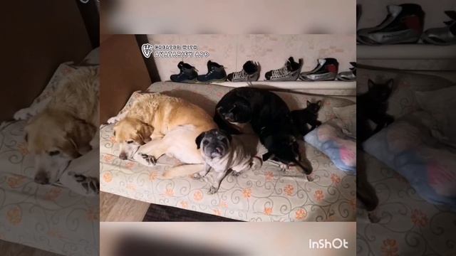 С ЮБИЛЕЕМ, МОЙ ЛЮБИМЫЙ КРЕСТНЫЙ!!! ???❤️????????✨? смотреть онлайн