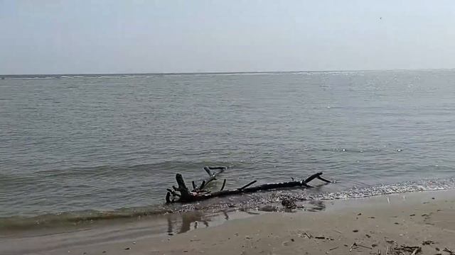 Впадение Дуная в Чёрное море смотреть онлайн