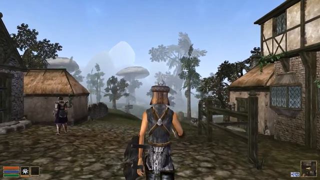 Let's play Morrowind (P05) - Your average middle ages love story смотреть онлайн