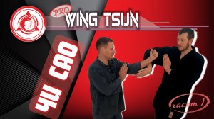 Продвинутый Уровень! ВИН ЧУН • ЧИ САО Липкие Руки • Часть 1