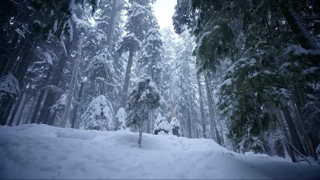Забытые. Страшные. Мистические. Творческие рассказы. смотреть онлайн