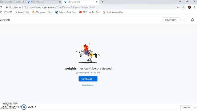 Real Time Object Tracking and Classification using Python смотреть онлайн