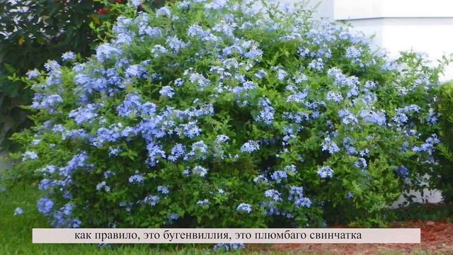 ВИЗУАЛИЗАЦИЯ ЛАНДШАФТА ПО ФОТОГРАФИИ | Ландшафтный дизайн | Ландшафтный скетчинг