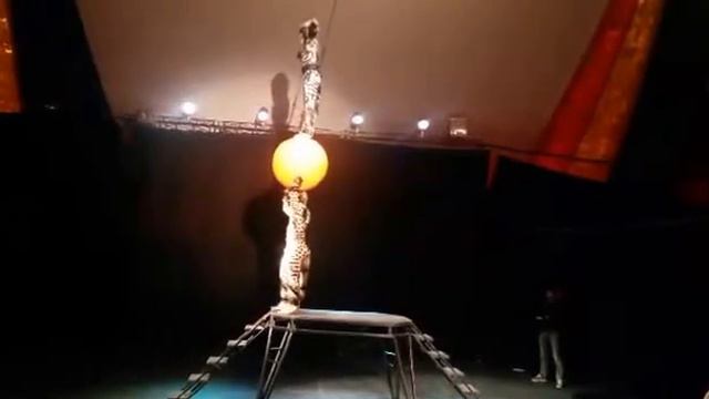 Tlama y Car Duo Kyrioz смотреть онлайн
