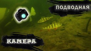 ПОИСК РЫБЫ С ПОДВОДНОЙ КАМЕРОЙ! ПОГРУЖЕНИЕ КАМЕРЫ ПОД ВОДУ И ОКУНЬ НА КАМЕРУ!