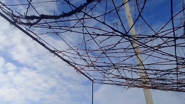 Держатели,арки,полки сделанные своими руками смотреть онлайн