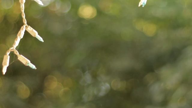 Canon EOS M50 4k Video Test смотреть онлайн