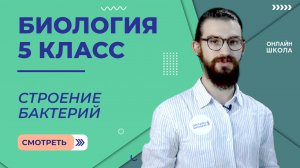 Строение бактерий. Урок 12. Биология 5 класс