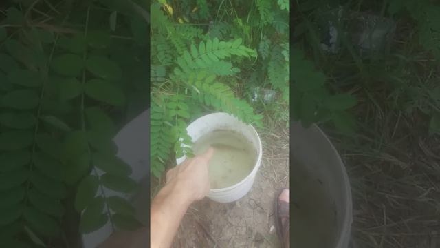 Рыбалка в Мингрельской, Абинский район смотреть онлайн