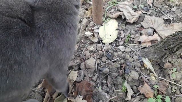 22 ноября 2020 г.Дата приятная и не очень ! смотреть онлайн