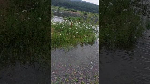 Усть-Кут ___ Дожди, Лена прибывает смотреть онлайн