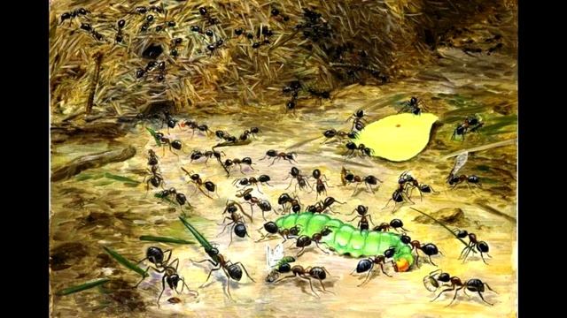 Эпиграмма на Мадлен Олбрайт. Манана Какабадзе. смотреть онлайн