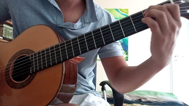 Erika Guitar