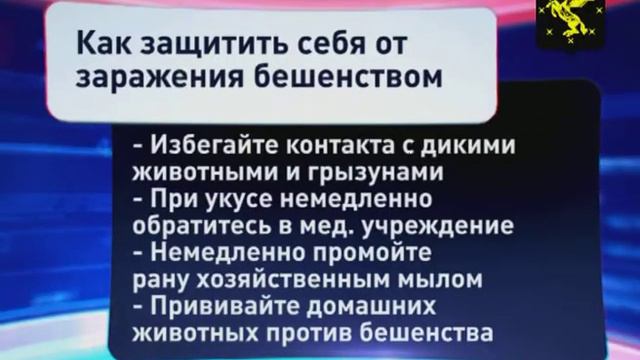 Защитите себя и своих питомцев от бешенства смотреть онлайн