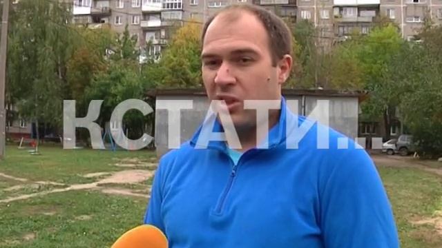 Голубиное нашествие - птицы атакуют посетителей кафе смотреть онлайн