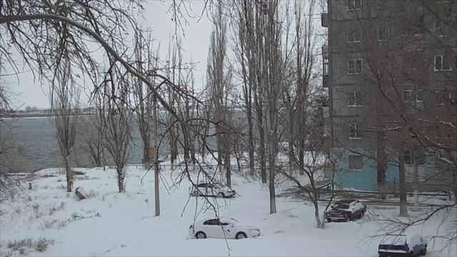 Лайков просто в панике. Пришла зима смотреть онлайн