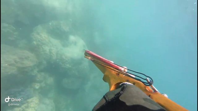 Трапны стрэл, море смотреть онлайн
