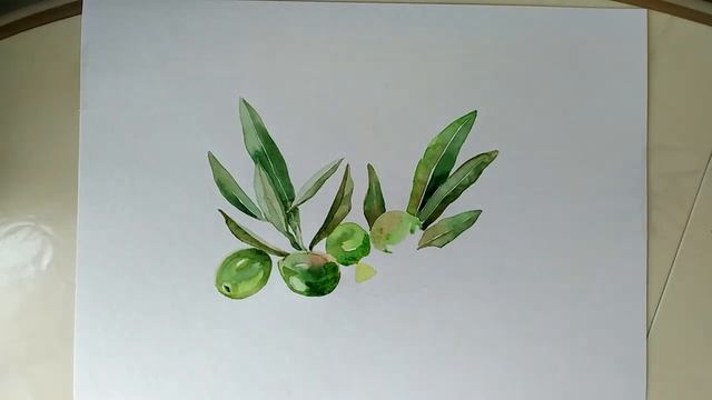 РИСУЕМ ОЛИВКИ | Ветка оливы