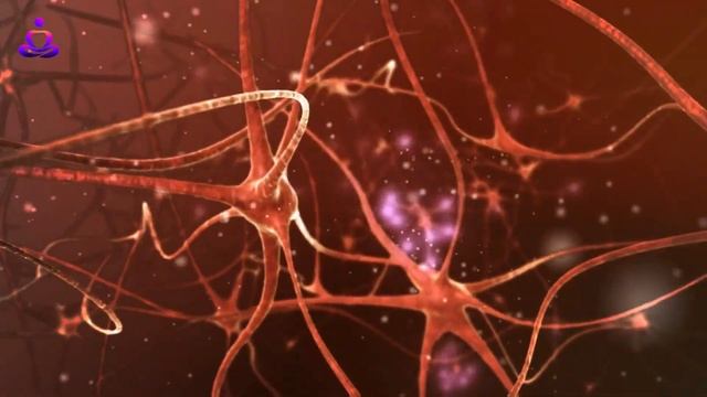 QUE PODEROSO ES NUESTRO CEREBRO смотреть онлайн