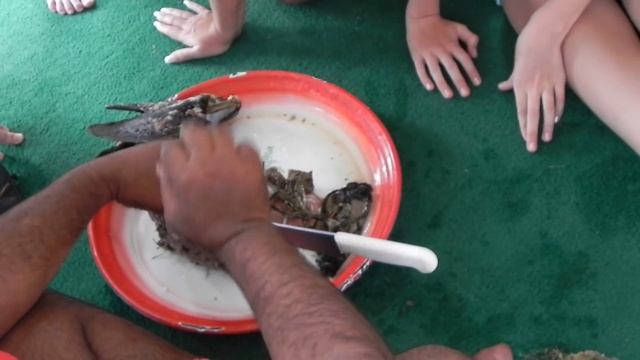 The pearler - ловец жемчуга (Оман) смотреть онлайн