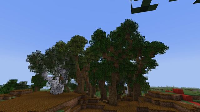 I transformed a Forest смотреть онлайн