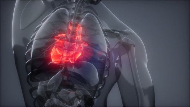 Боль в сердце отдает в спину - основные причины смотреть онлайн