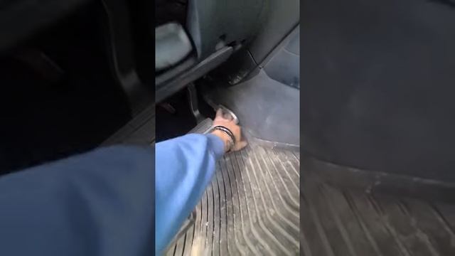 Universal Language.webm смотреть онлайн