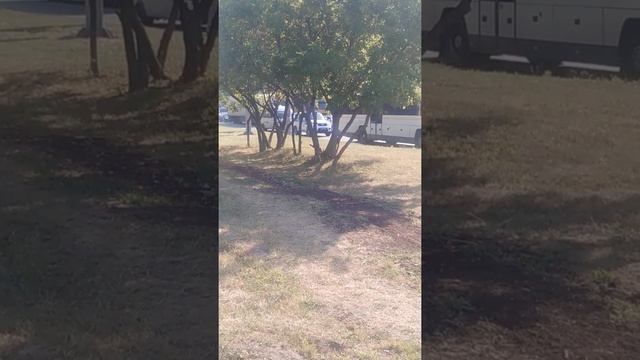 УАЗ Патриот полиции смотреть онлайн