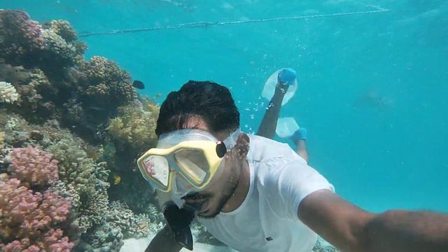 This Hurghada is the most beautiful place you can go to смотреть онлайн