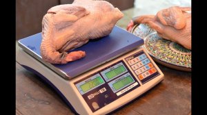 Тушки французских цесарок. Бройлерная цесарка. ЛПХ "Милкин дом"