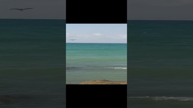 Ч А Й К И смотреть онлайн